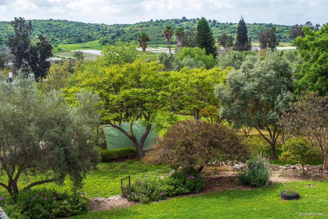 Amikam Meshek 81 משק 81 עמיקם Villa Buitenkant foto