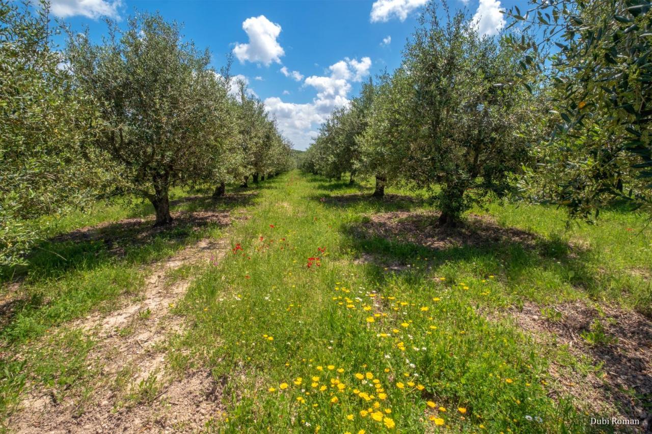 Amikam Meshek 81 משק 81 עמיקם Villa Buitenkant foto