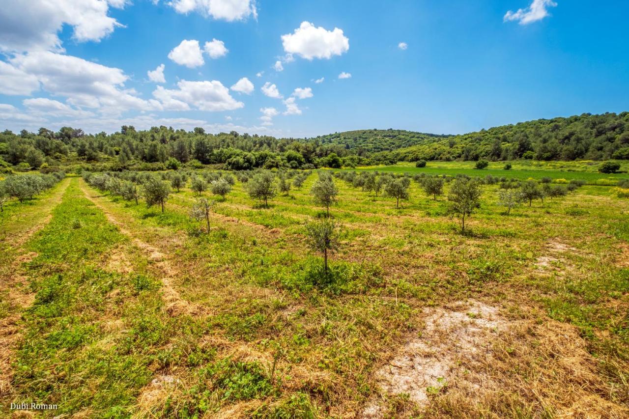 Amikam Meshek 81 משק 81 עמיקם Villa Buitenkant foto