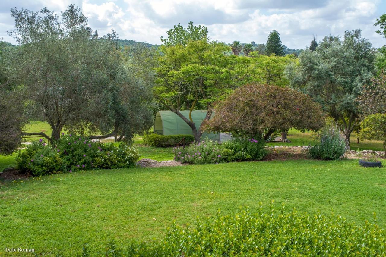 Amikam Meshek 81 משק 81 עמיקם Villa Buitenkant foto