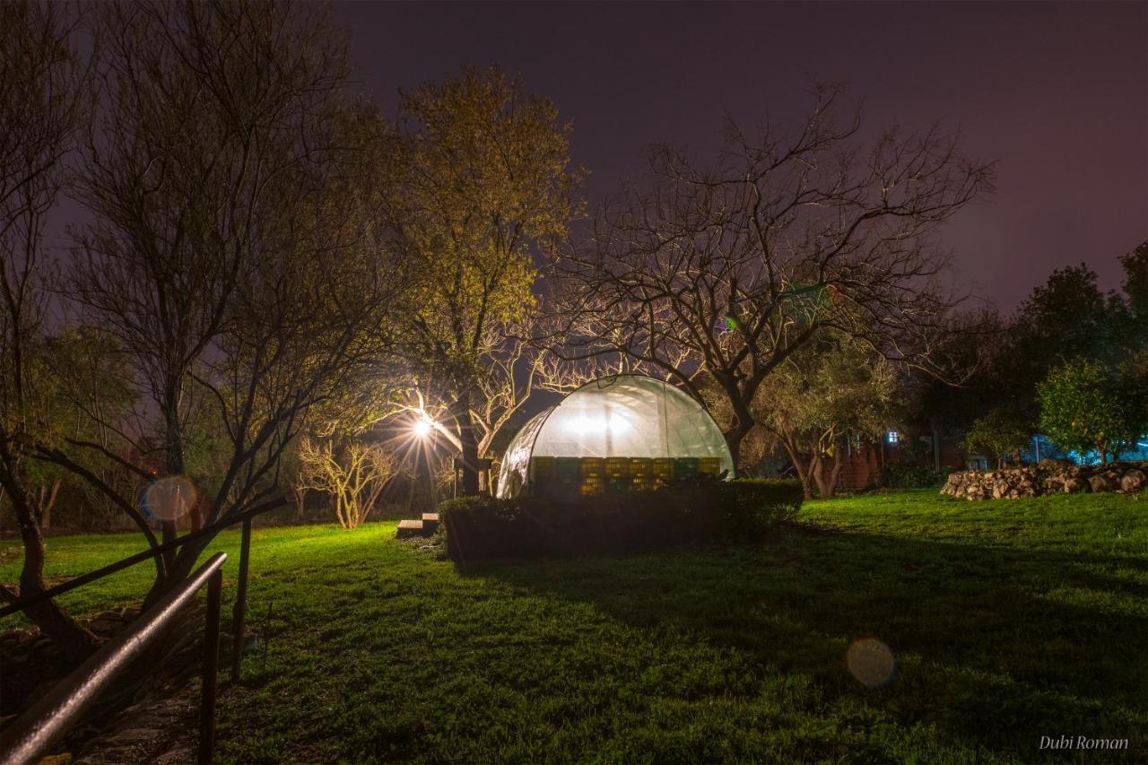 Amikam Meshek 81 משק 81 עמיקם Villa Buitenkant foto