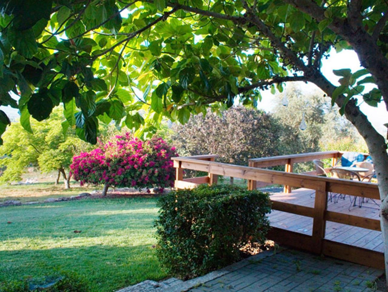 Amikam Meshek 81 משק 81 עמיקם Villa Buitenkant foto