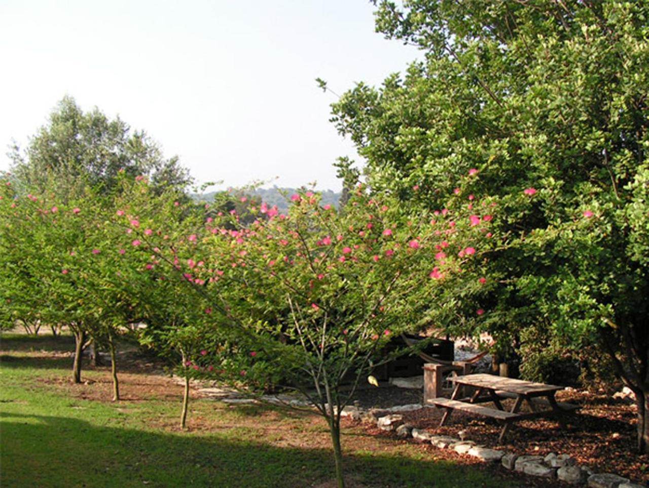 Amikam Meshek 81 משק 81 עמיקם Villa Buitenkant foto