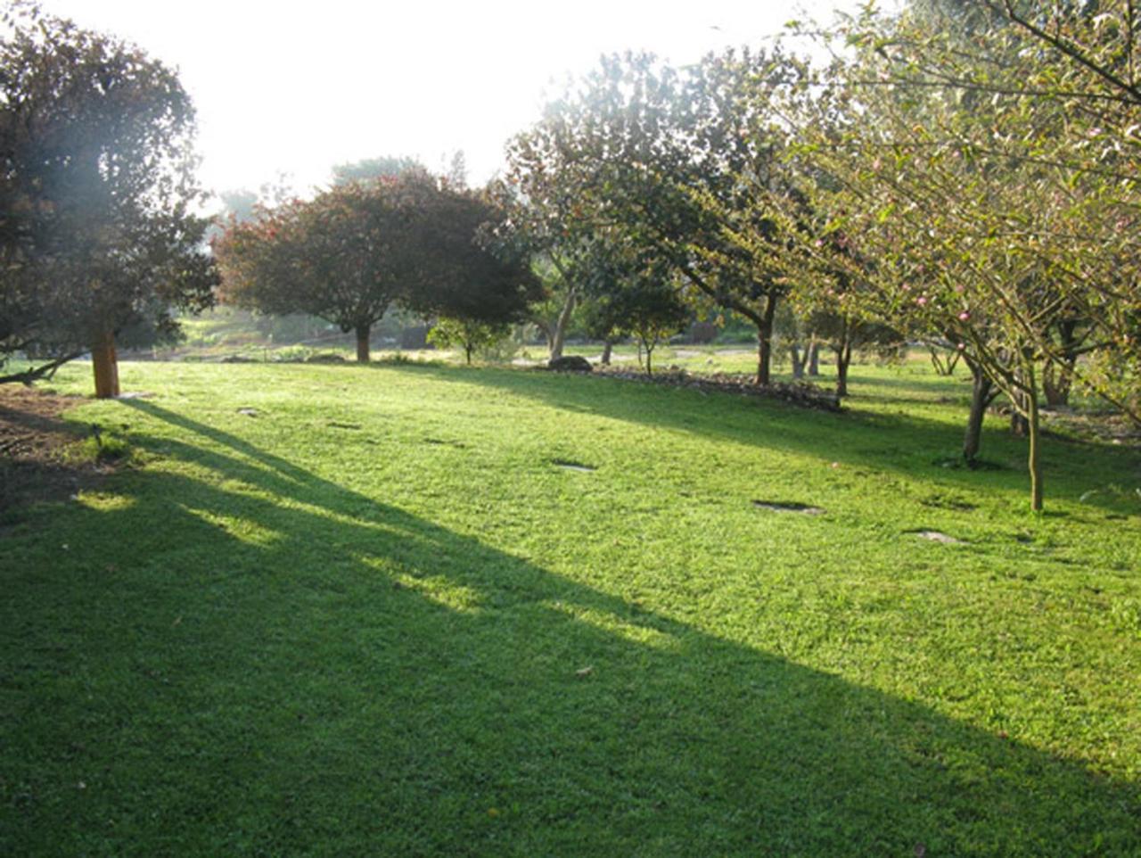 Amikam Meshek 81 משק 81 עמיקם Villa Buitenkant foto